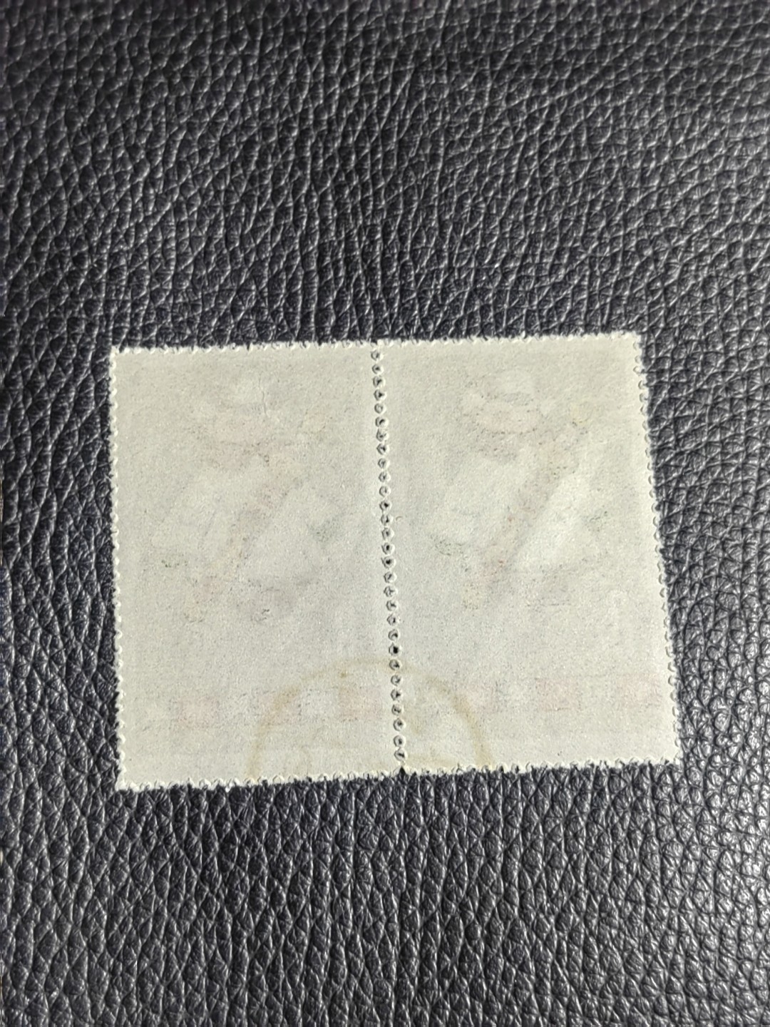 洪涛臻品批发群  精选邮票限时拍卖第一百五十六期 特54儿童 盖销 12-6   二连一组。版撕票压痕，小软折， 面艳背白，生口，非常漂亮，热门票，注意捡漏