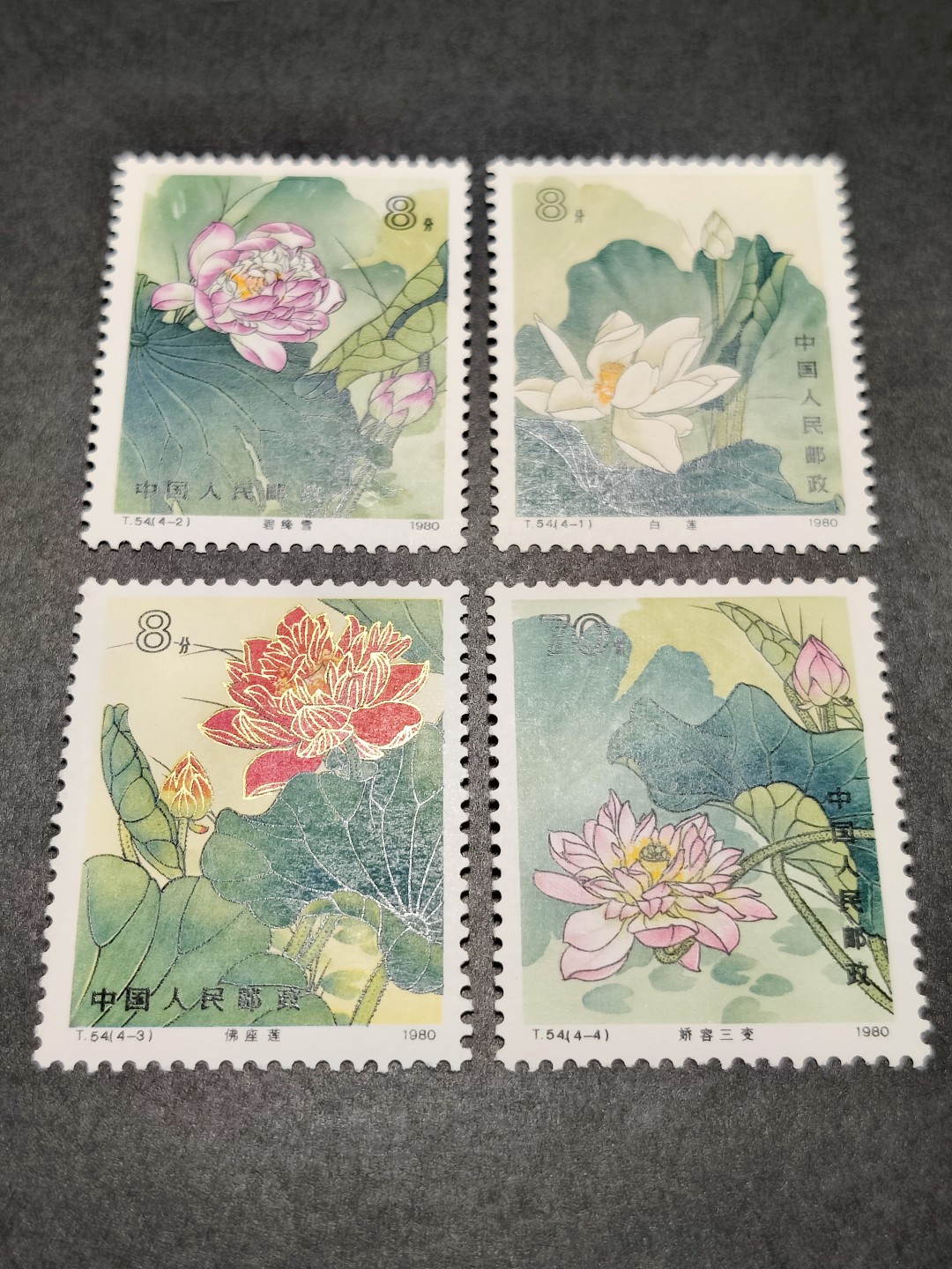 洪涛臻品批发群  精选邮票限时拍卖第一百四十九期 T54荷花 面艳背白票挺！完美过灯！（有荧光纸与非荧光之别） 原胶全品