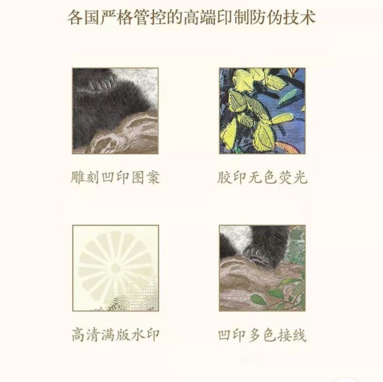 启点大熊猫钞艺画