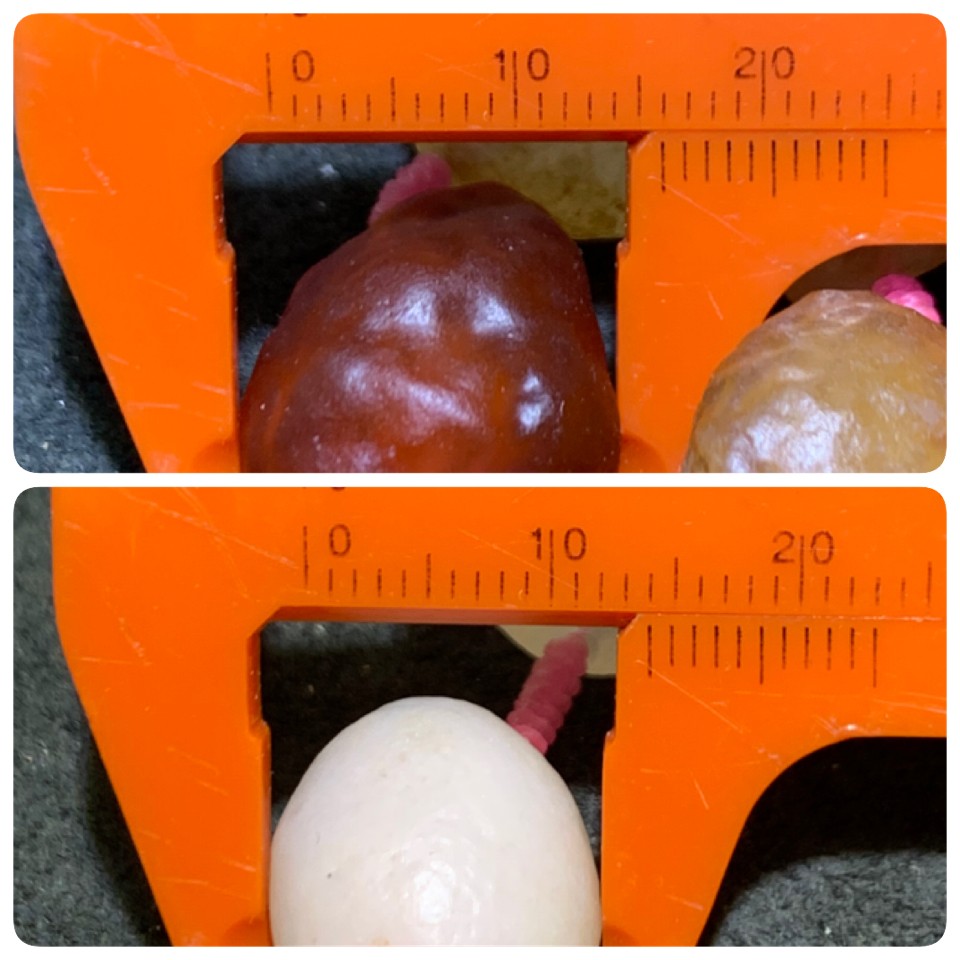 精美天然大颗粒阿拉善糖果料彩珠玛瑙项链一条，