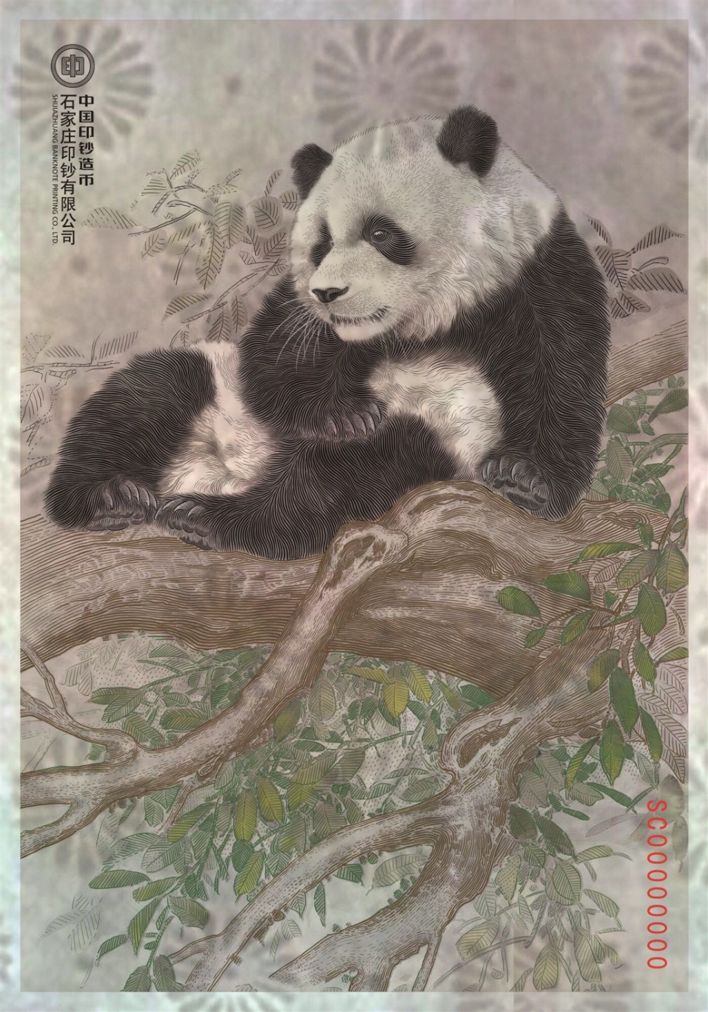 启点大熊猫钞艺画