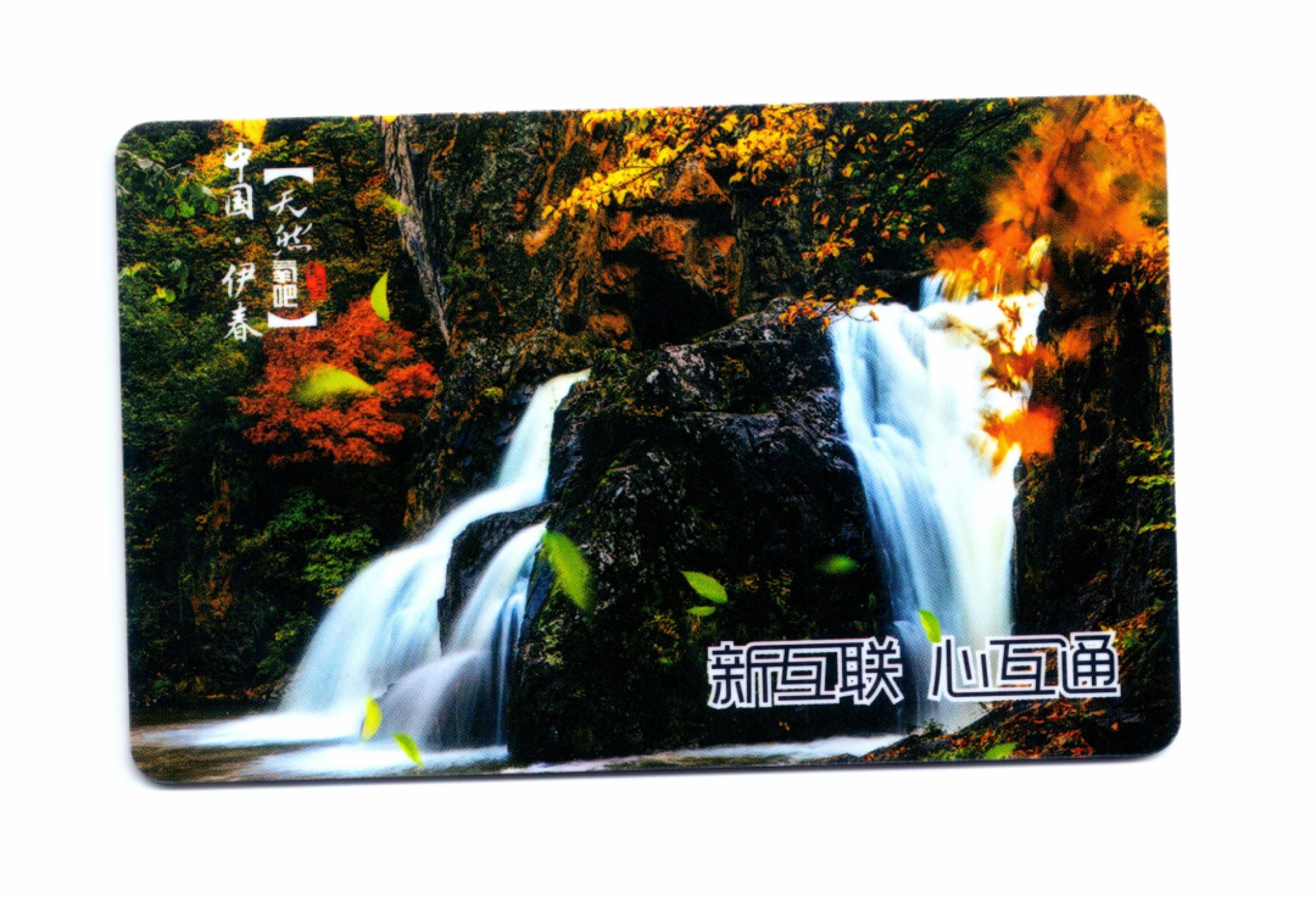 申拍第21期 黑龙江交通一卡通 ( 伊春·嘉萌县 )