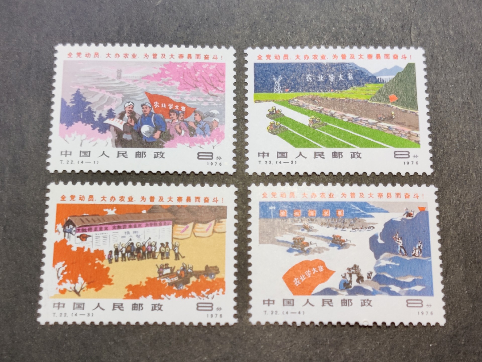 洪涛臻品批发群  精选邮票限时拍卖第一百五十二期 T22农业学大寨 面艳票挺 原胶润白 齿孔全饱满 完美过灯 高分评级票品质！（尾图近期成交价280元）