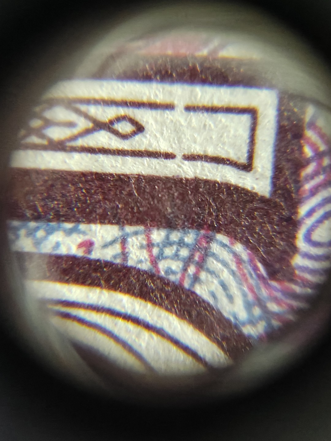 8005荧光币专场无托拍 8005ZC双金口五中国红五张