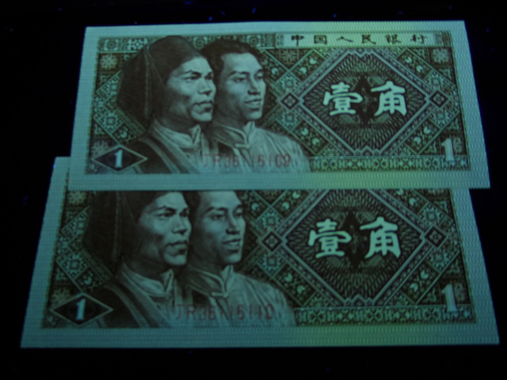 8001精品荧光币专场