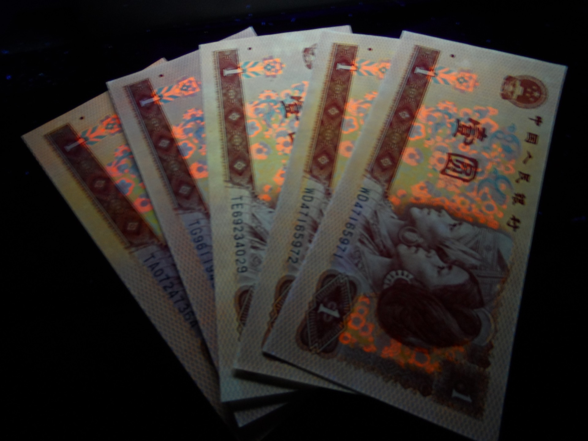 8001精品荧光币专场 801荧光币红金龙五张
