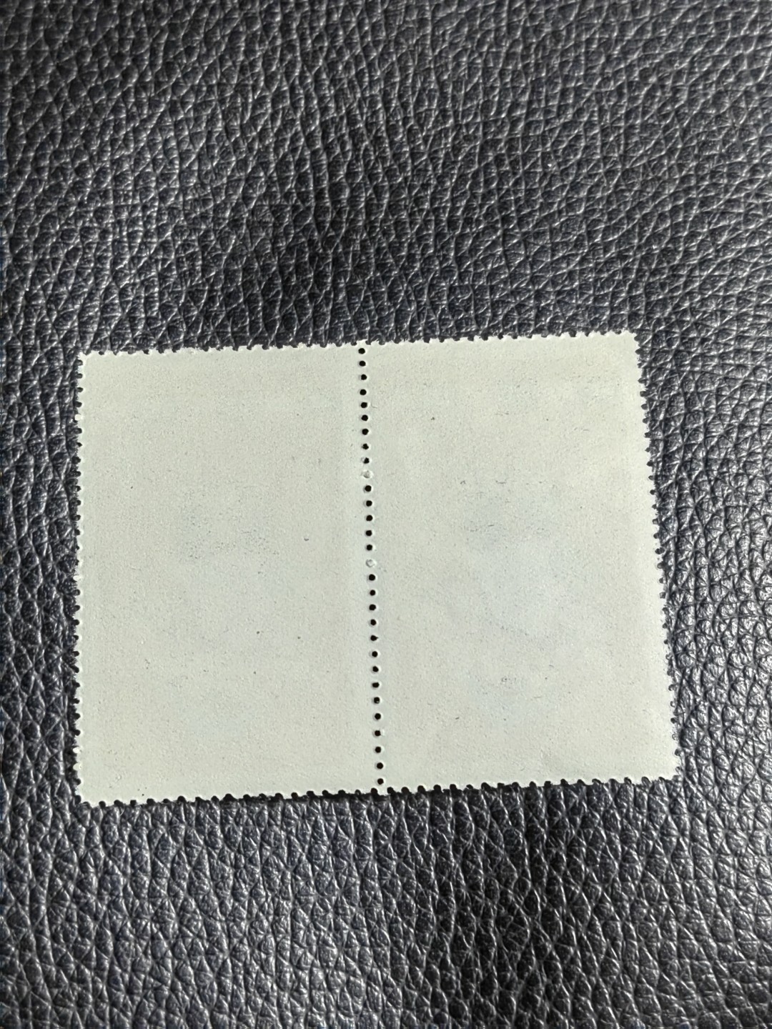 洪涛臻品批发群  精选邮票限时拍卖第一百五十六期 特54儿童 盖销 12-2  两枚一组，版撕票，上品软折，压痕， 热门票，注意捡漏