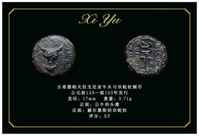 琋语藏币第二十二期古典打制币拍卖（每周日晚8点） - 古希腊帕夫拉戈尼亚牛头与双蛇杖铜币