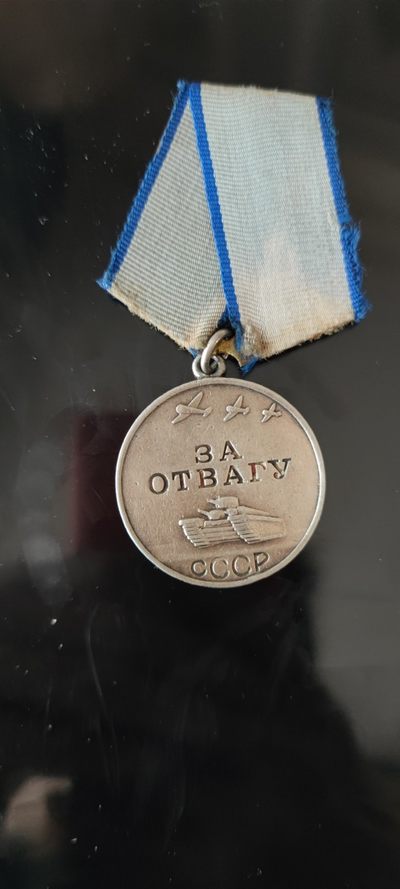 大狸子的拍卖会(第6期) - 勇敢奖章带号