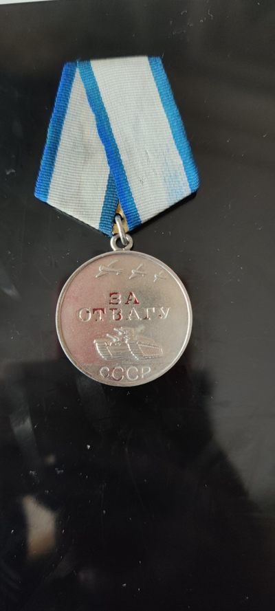 大狸子的拍卖会(第6期) - 勇敢奖章带号