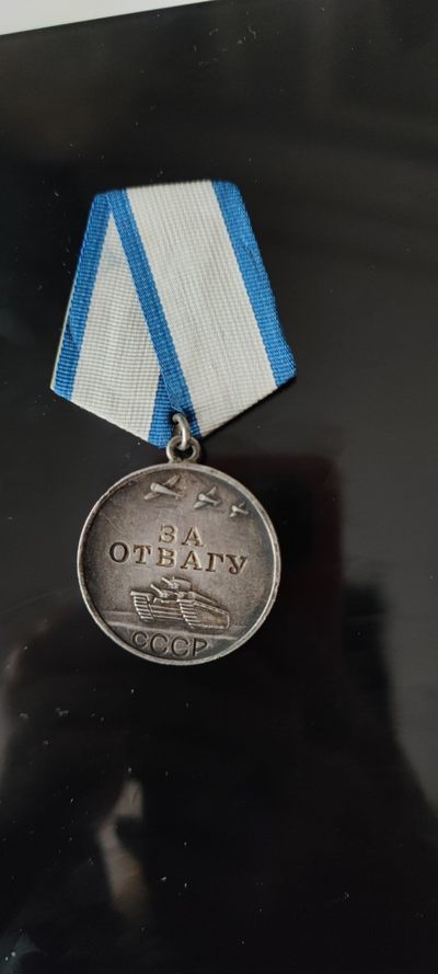 大狸子的拍卖会(第6期) - 勇敢奖章带号