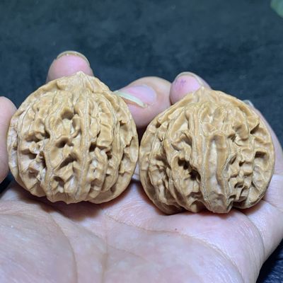 放福利，精美苹果圆狮子头一对， - 放福利，精美苹果圆狮子头一对，