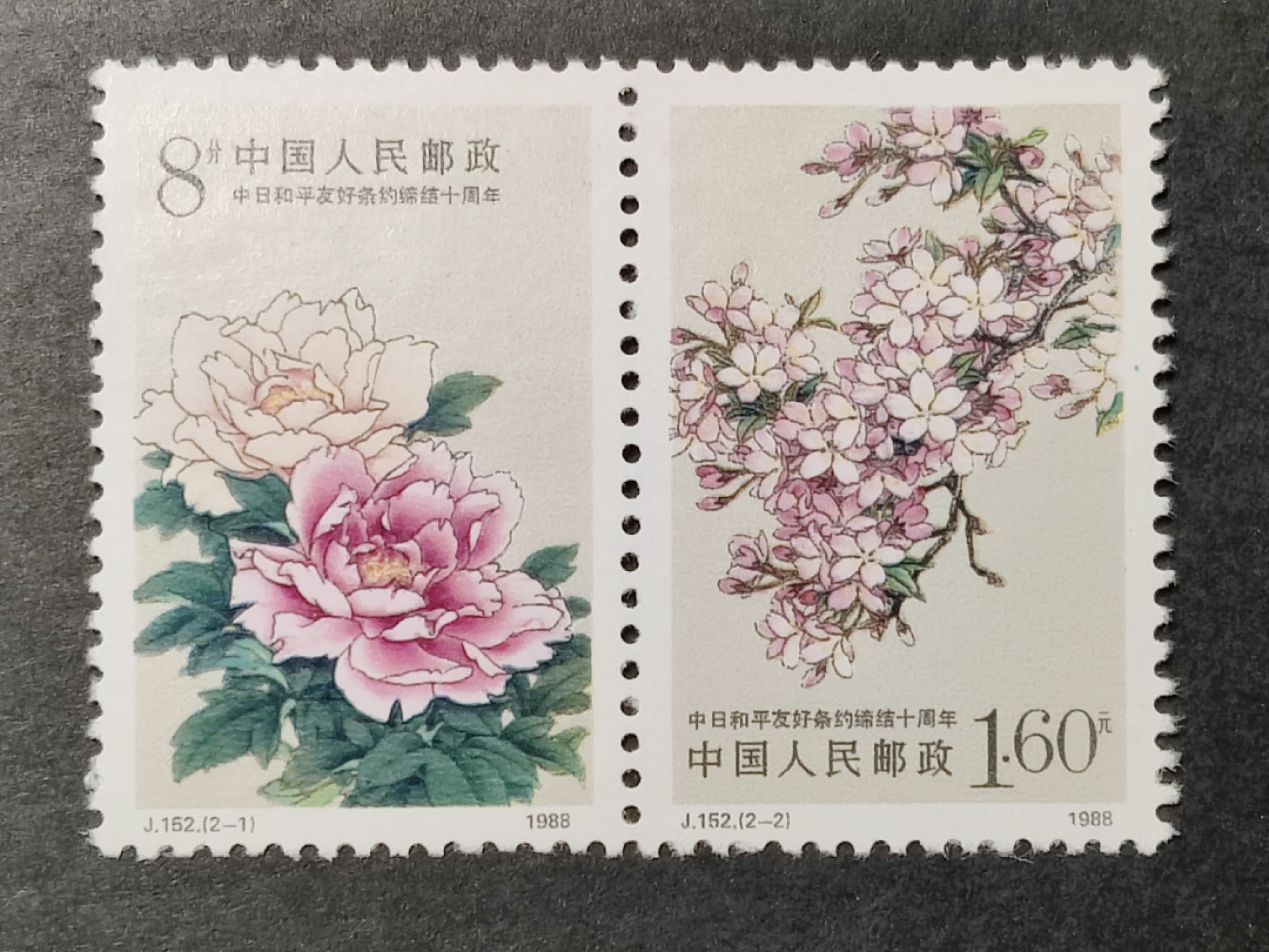 洪涛臻品批发群  精选邮票限时拍卖第一百五十五期 J152中日友好条约 双联2套票 面艳背白 原胶润亮 完美过灯 评级票品质！