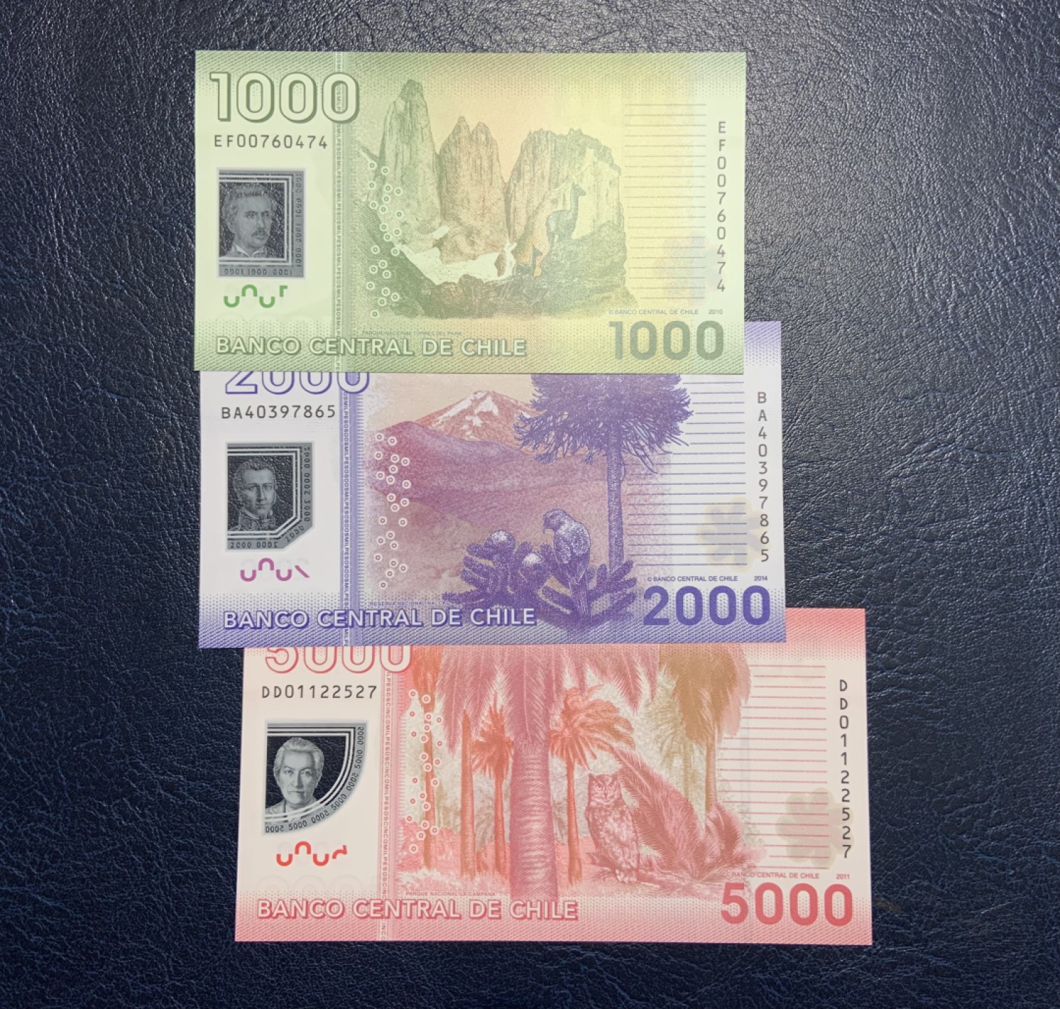 收藏联盟Quantum Auction 第227期拍卖 智利2010-14年1000-5000比索 品相全新UNC 塑料钞