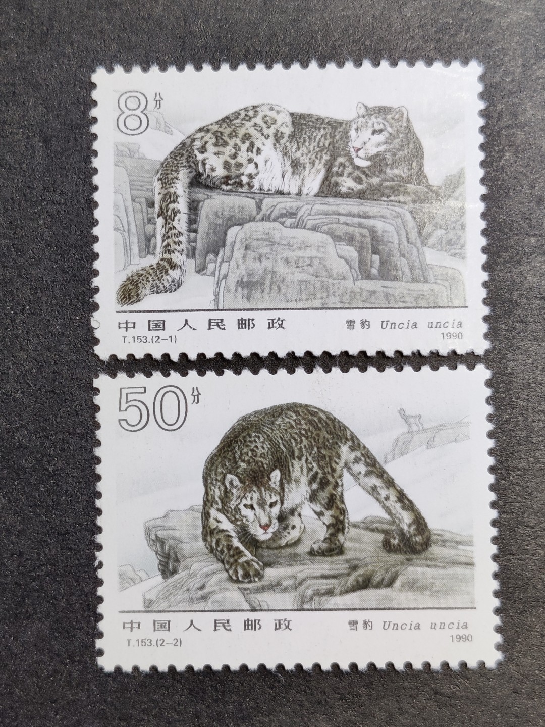 洪涛臻品批发群  精选邮票限时拍卖第一百五十六期 T153雪豹 新全套轻贴 完美过灯! 原胶润白 面色鲜艳 票生挺！齿孔粒粒饱满！ 