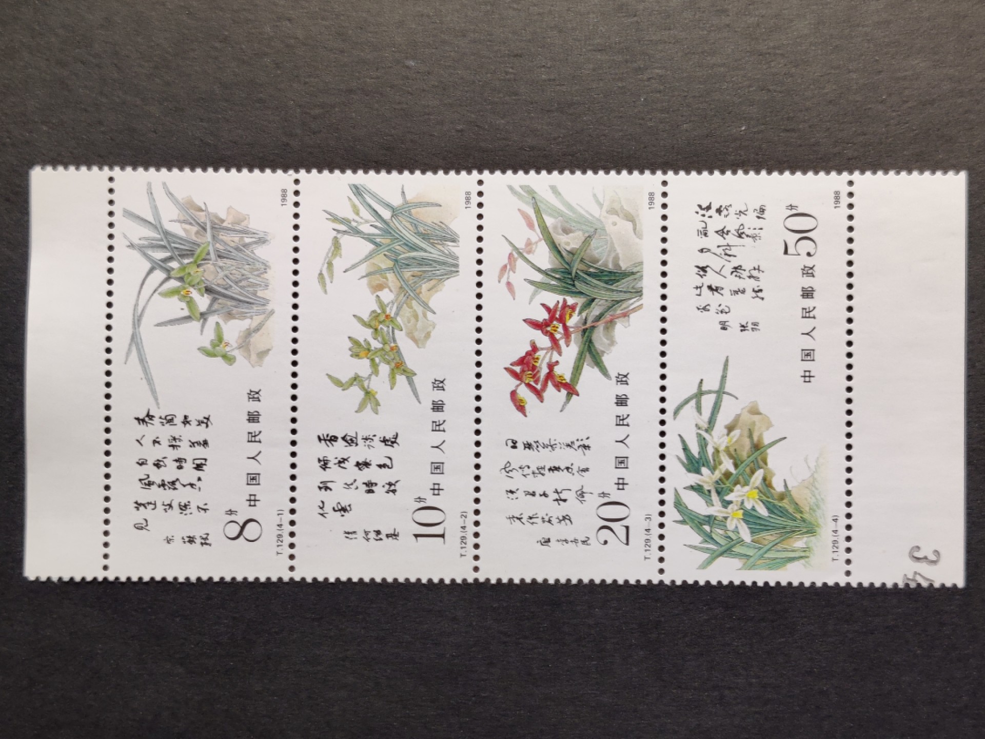 洪涛臻品批发群  精选邮票限时拍卖第一百五十六期 T129兰花 带版号 新全套 完美过灯! 原胶润白 面色鲜艳 票生挺！齿孔粒粒饱满！评级票品质！