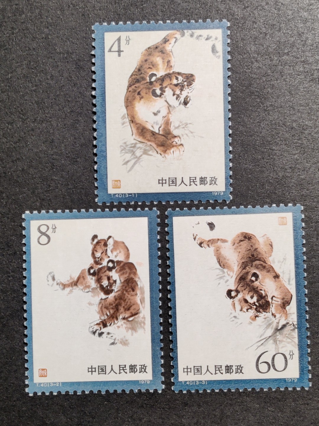 洪涛臻品批发群  精选邮票限时拍卖第一百五十六期 T40东北虎 新全套 1个正常出厂自带纸质点 完美过灯! 原胶润白 面色鲜艳 票生挺！齿孔粒粒饱满！评级票品质！ 