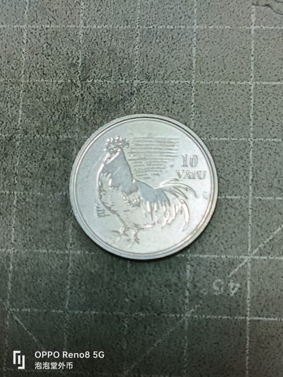 泡泡堂微拍第八十五幕硬币捡漏可累计专场👿👿，累计满二十元包邮，接受代拍业务 - 瓦努阿图公鸡