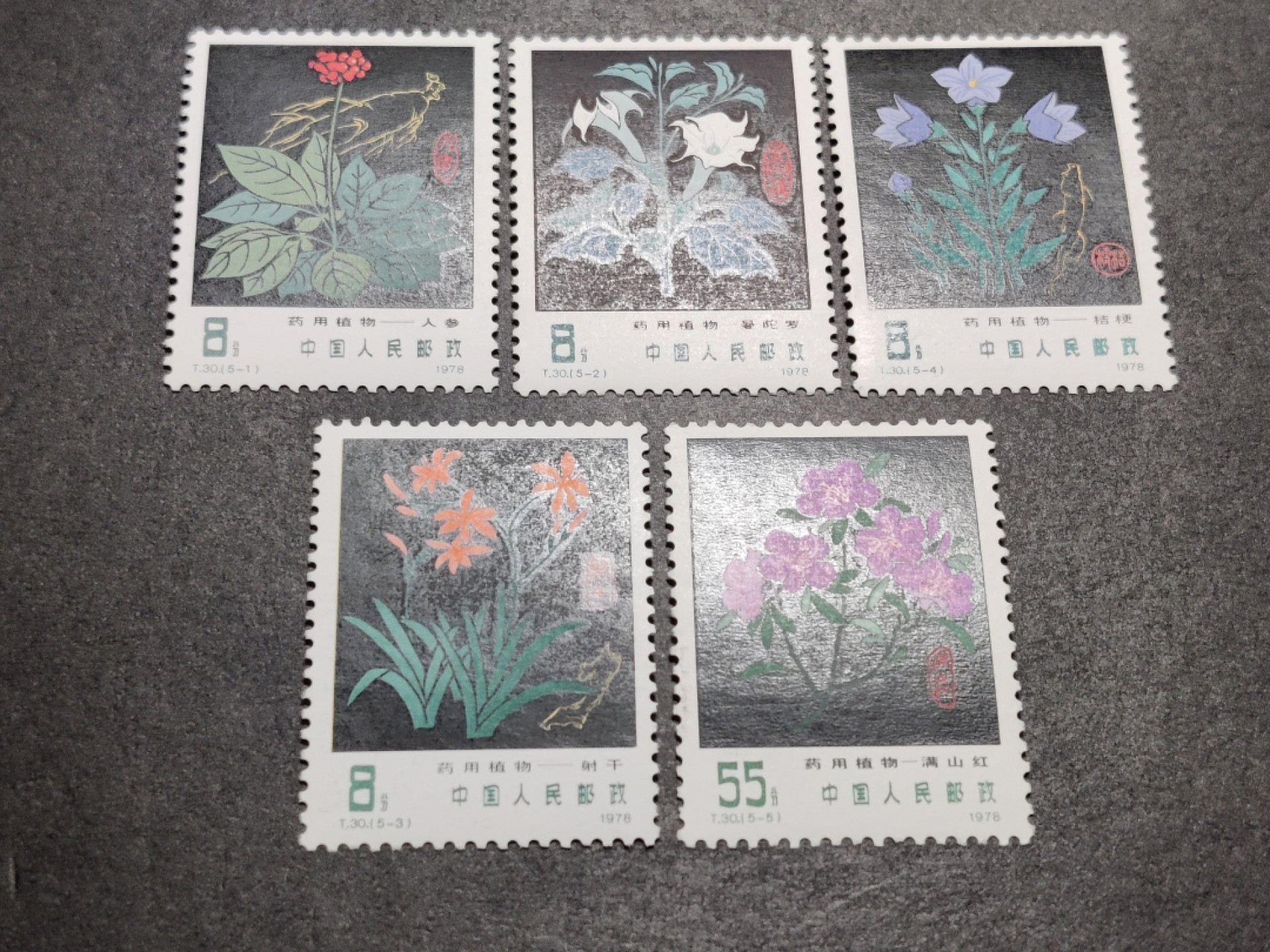 洪涛臻品批发群  精选邮票限时拍卖第一百五十六期 T30药用植物 新全套 完美过灯! 原胶润白 面色鲜艳 票生挺！齿孔粒粒饱满！评级票品质！