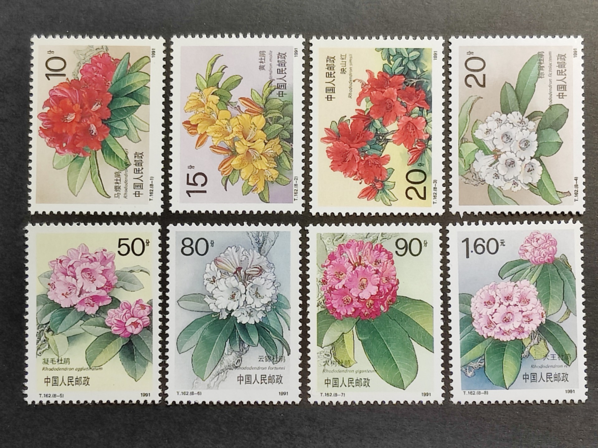 洪涛臻品批发群  精选邮票限时拍卖第一百五十六期 T162杜鹃花 新全套 完美过灯! 原胶润白 面色鲜艳 票生挺！齿孔粒粒饱满！评级票品质！【分荧光纸与普通纸,其他JT票部分也有不同纸印刷】
