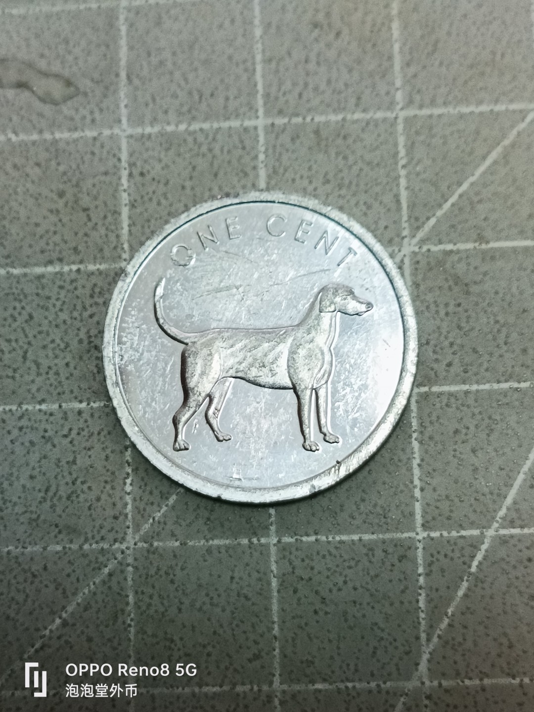 泡泡堂微拍第五十二幕硬币捡漏可累计专场👿👿，零佣金，零押金，累计满二十元包邮