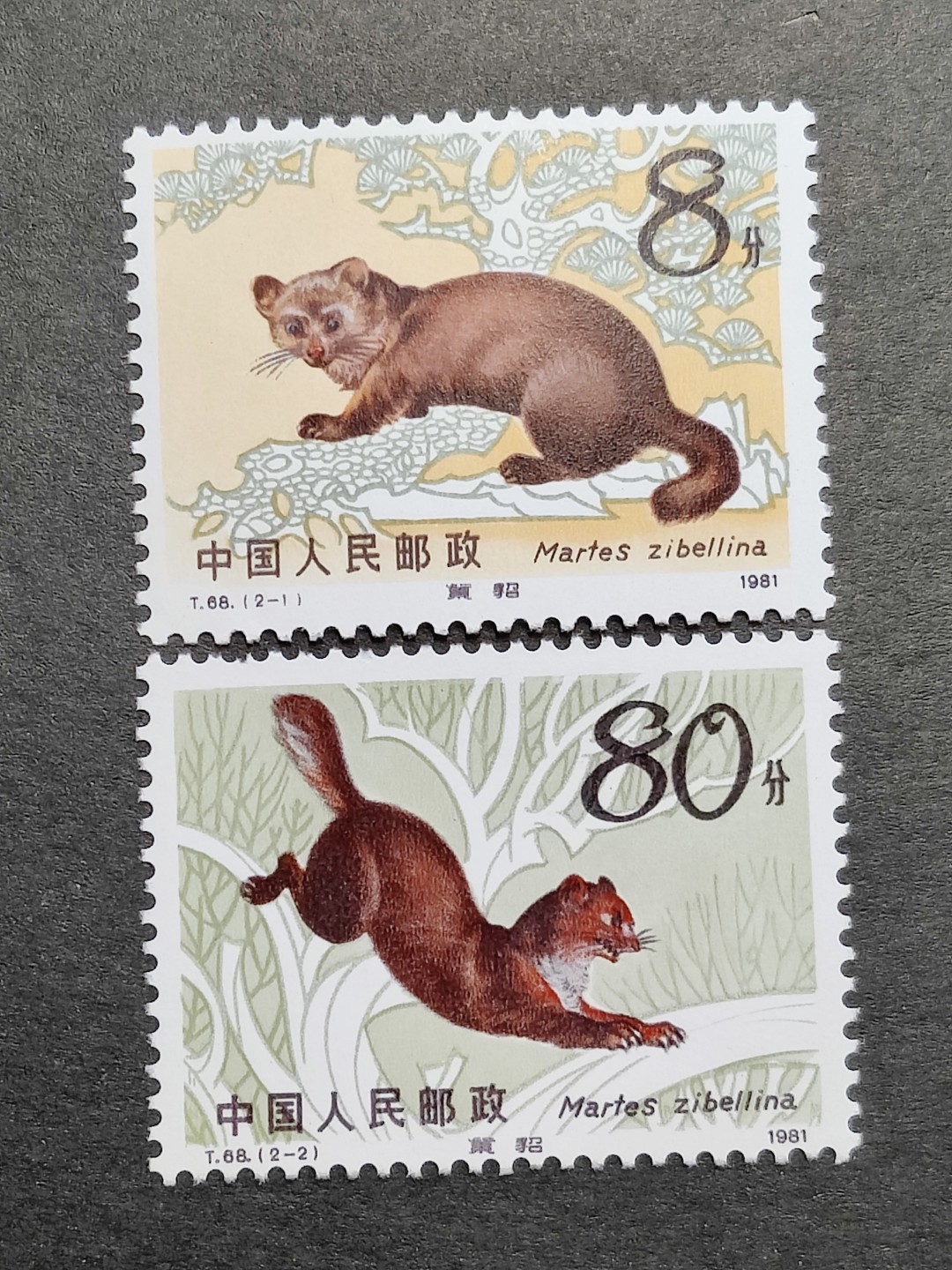 洪涛臻品批发群  精选邮票限时拍卖第一百五十六期 T68紫貂 新全套 个别齿弱 完美过灯! 原胶润白 面色鲜艳 票生挺！ 