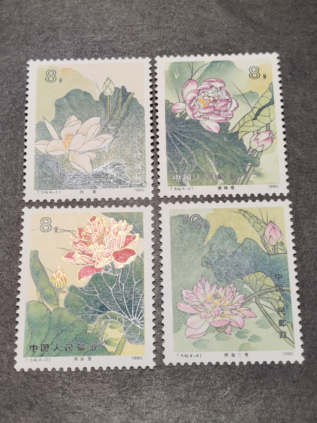 洪涛臻品批发群  精选邮票限时拍卖第一百五十六期 T54荷花 新全套 完美过灯! 原胶润白 面色鲜艳 票生挺！齿孔粒粒饱满！评级票品质！