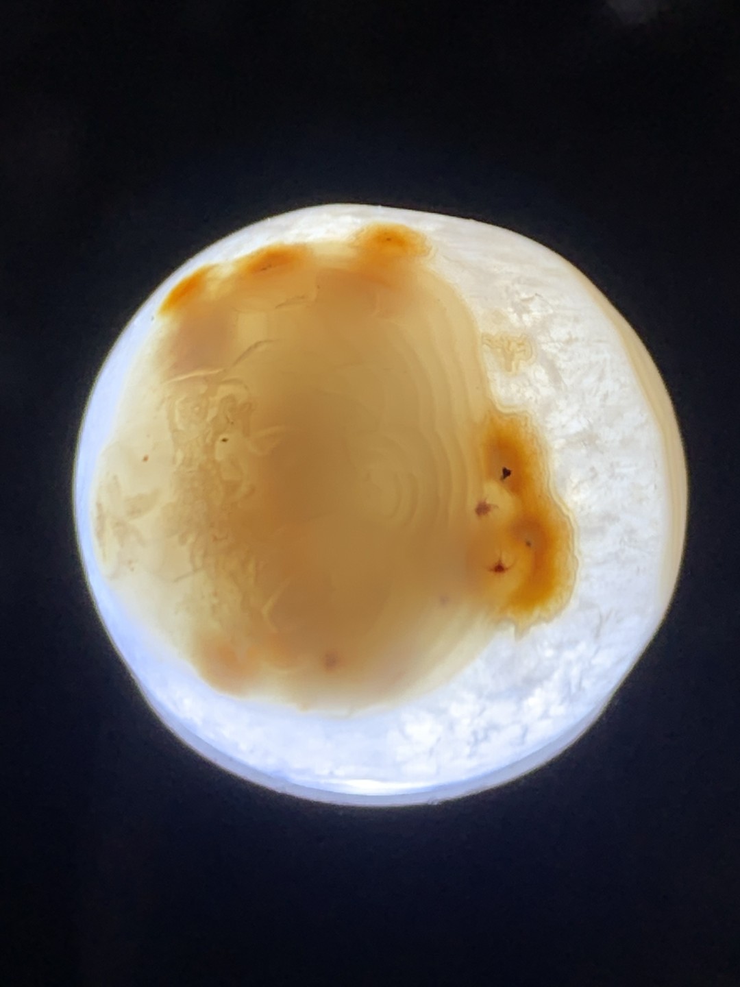 精美冰飘战国红玛瑙手工俏色巧雕菩提2.0珠一颗！