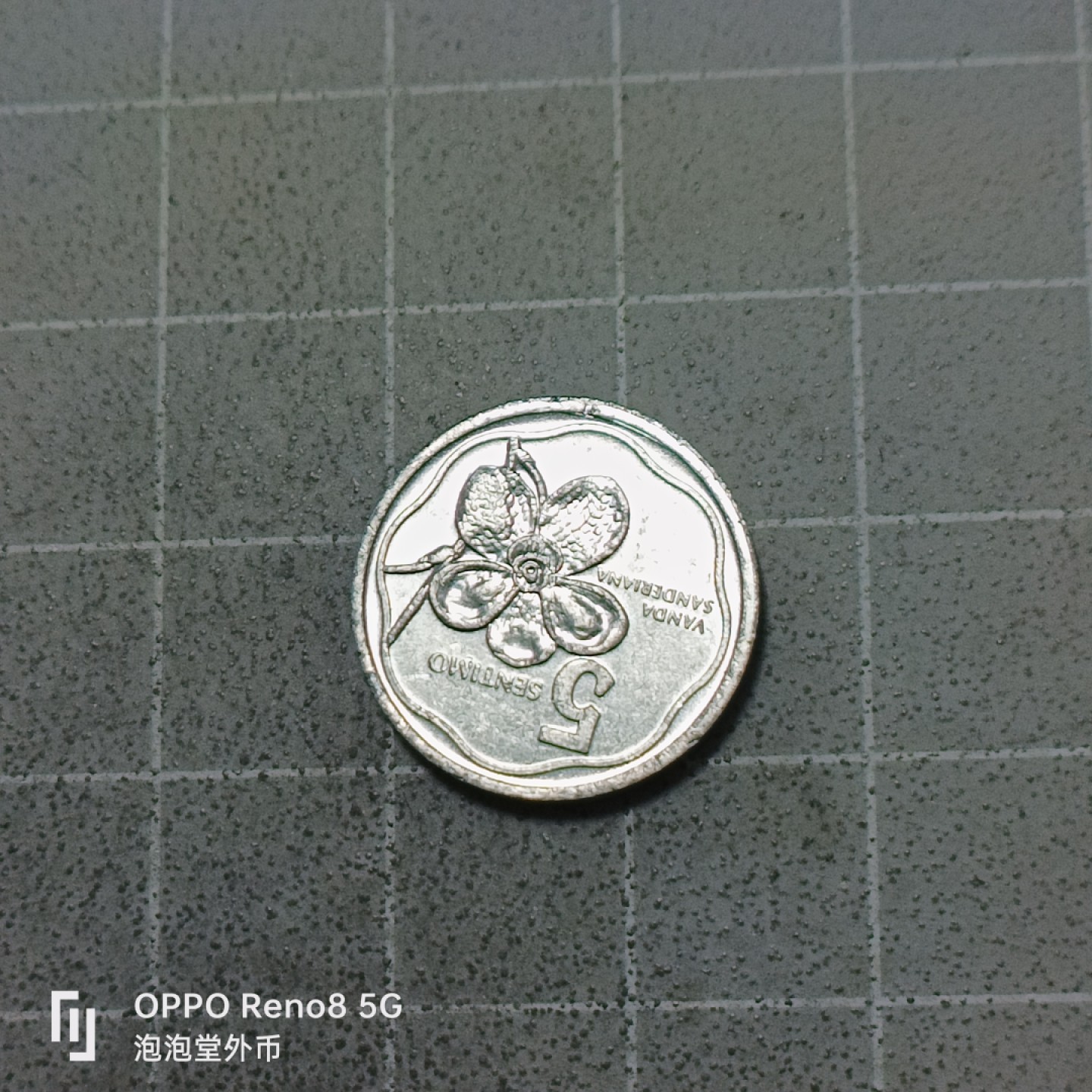 泡泡堂微拍第五十三幕硬币捡漏可累计专场👿👿，零佣金，零押金，累计满二十元包邮 菲律宾五分。