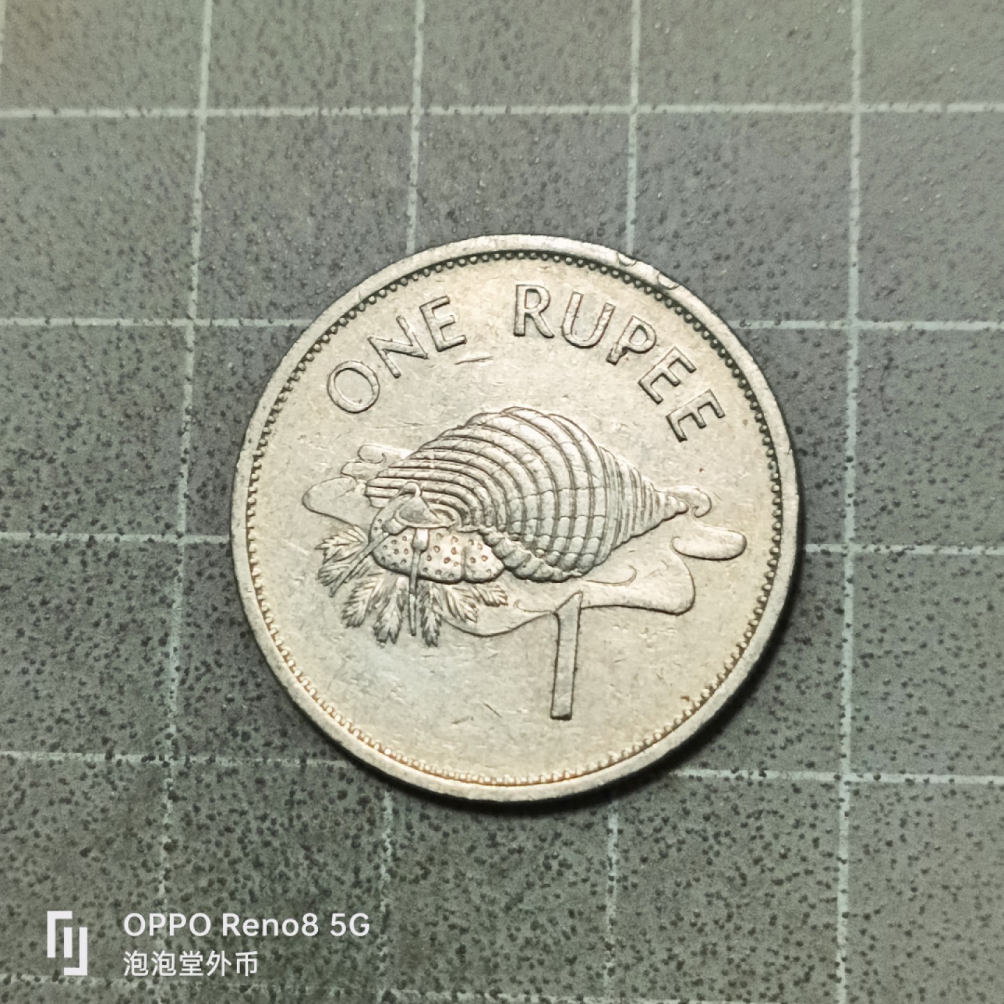 泡泡堂微拍第五十三幕硬币捡漏可累计专场👿👿，零佣金，零押金，累计满二十元包邮 塞舍尔一鲁比