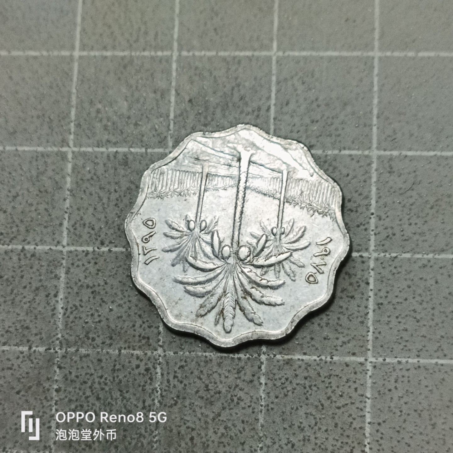 泡泡堂微拍第五十三幕硬币捡漏可累计专场👿👿，零佣金，零押金，累计满二十元包邮 伊拉克椰子树五菲尔。