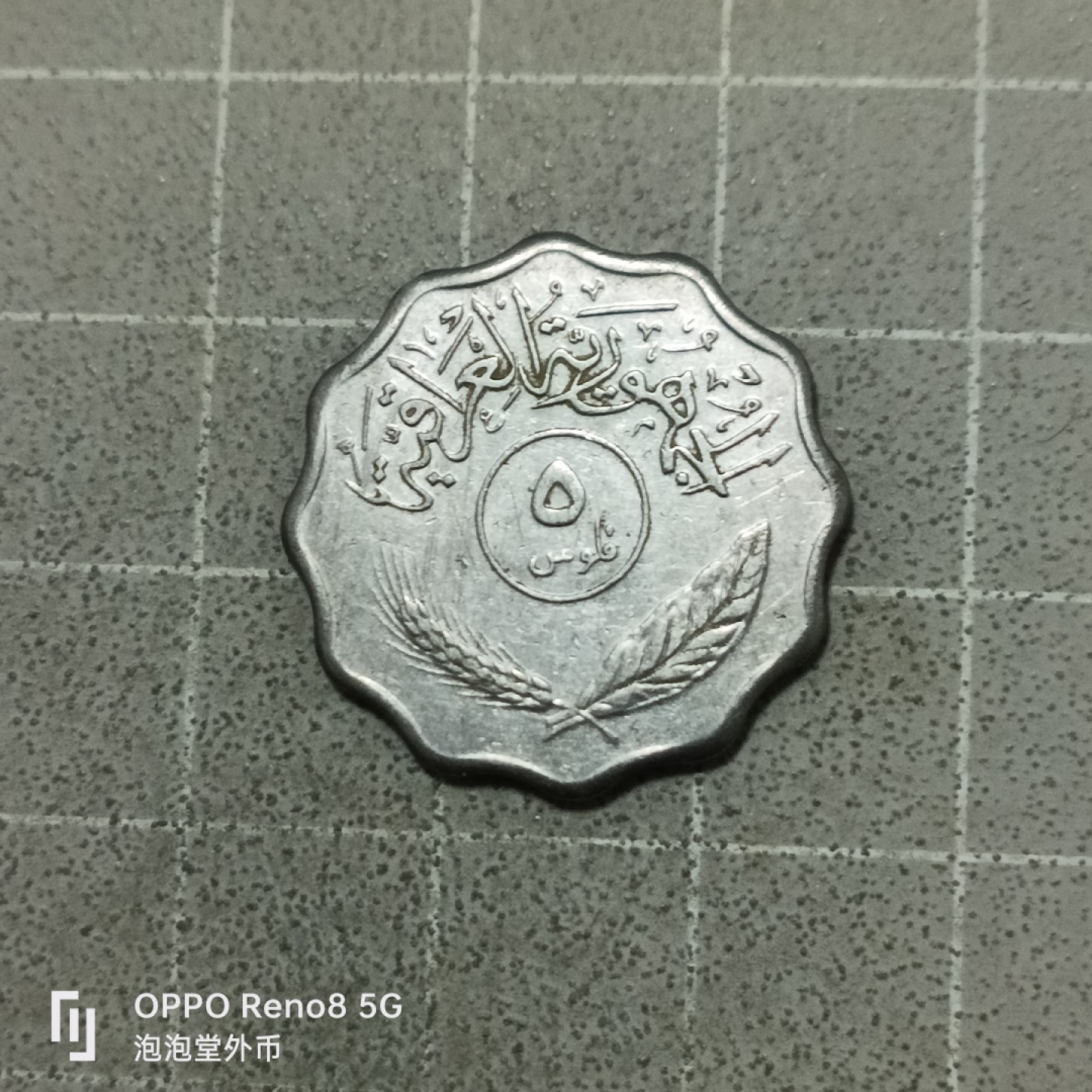 泡泡堂微拍第五十三幕硬币捡漏可累计专场👿👿，零佣金，零押金，累计满二十元包邮 伊拉克椰子树五菲尔。