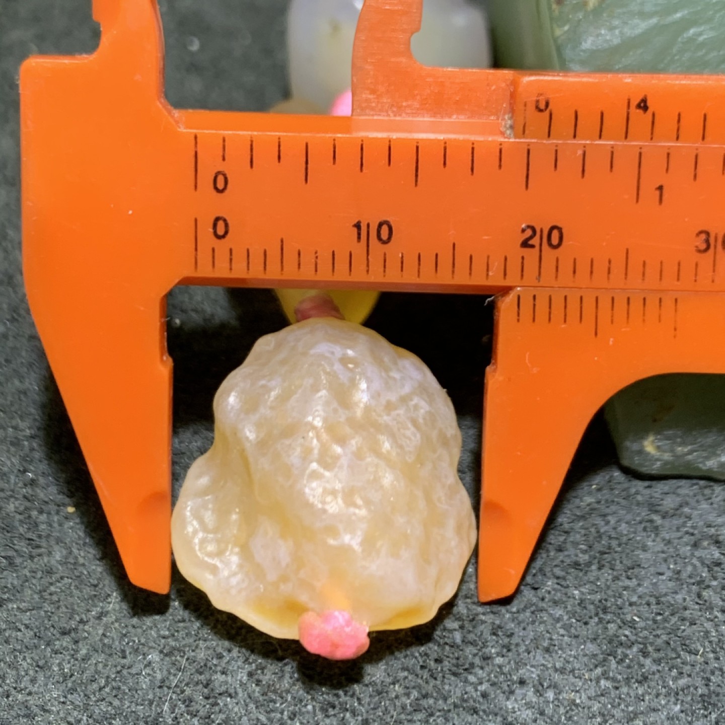 精美天然大颗粒阿拉善糖果料彩珠玛瑙项链一条，