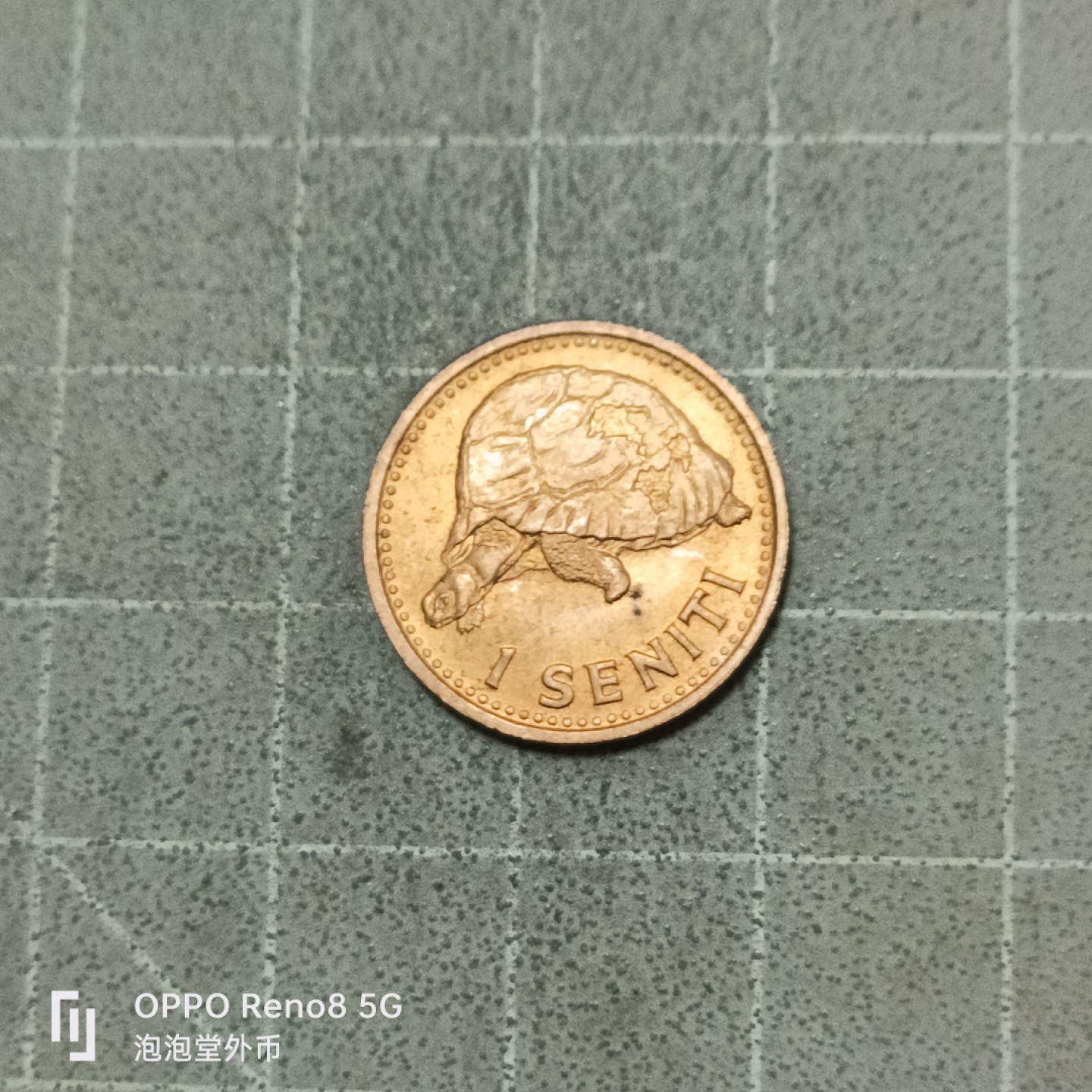 泡泡堂微拍第五十三幕硬币捡漏可累计专场👿👿，零佣金，零押金，累计满二十元包邮 少见汤加68年一仙原光。