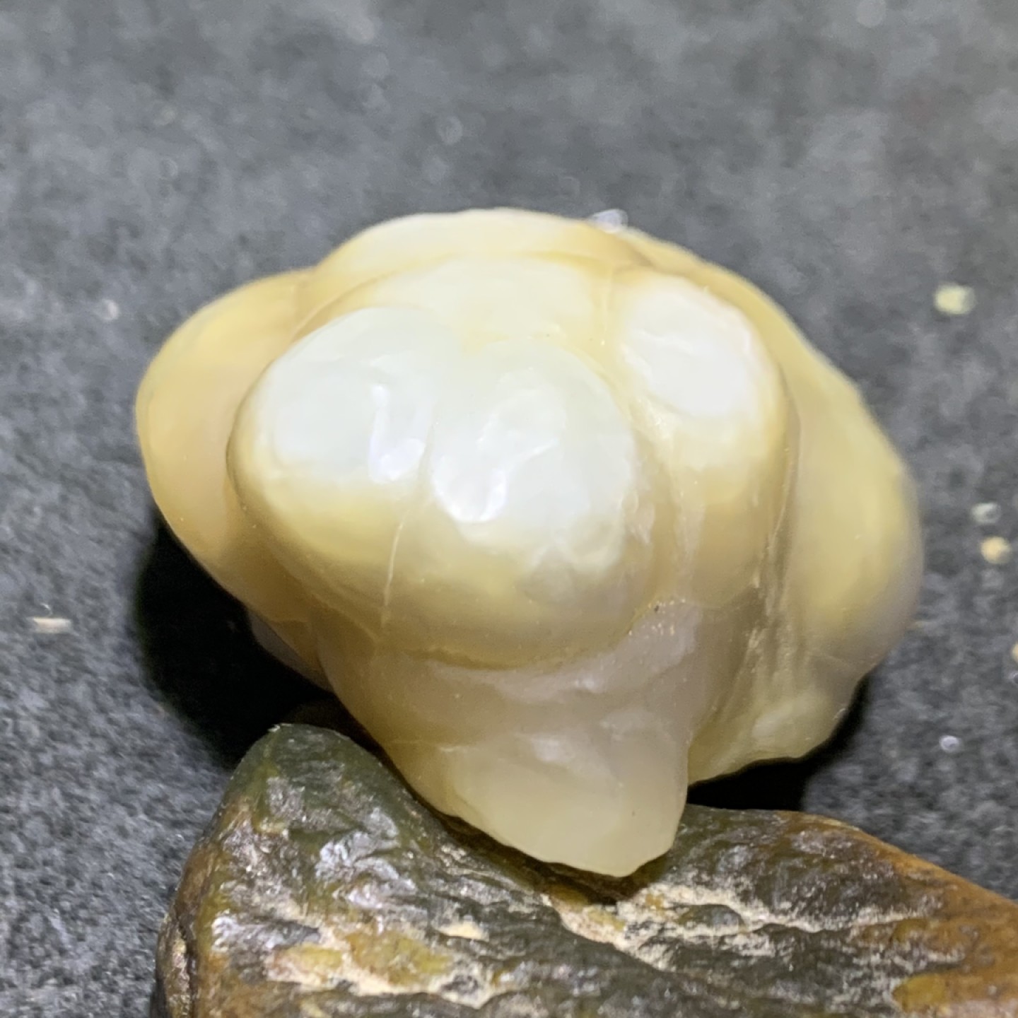 精美戈壁阿拉善高玉化鱼籽纹筋脉石原石一颗
