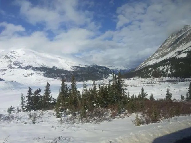 收藏联盟Quantum Auction 第228期拍卖 (已更新) 加拿大1954年20元 PMG65 劳伦斯山脉的雪松林 早期晚礼服女王 中等面值