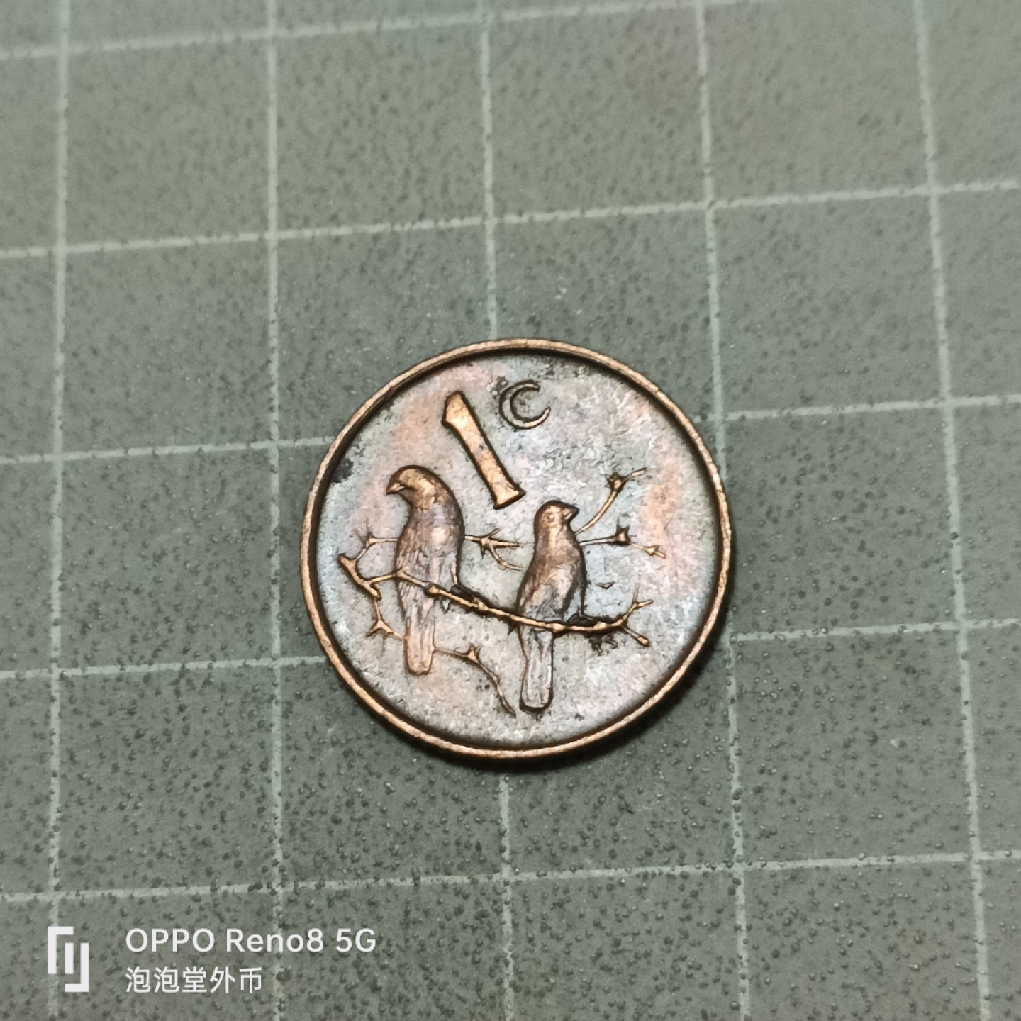 泡泡堂微拍第五十三幕硬币捡漏可累计专场👿👿，零佣金，零押金，累计满二十元包邮 南非67年国王版一C。