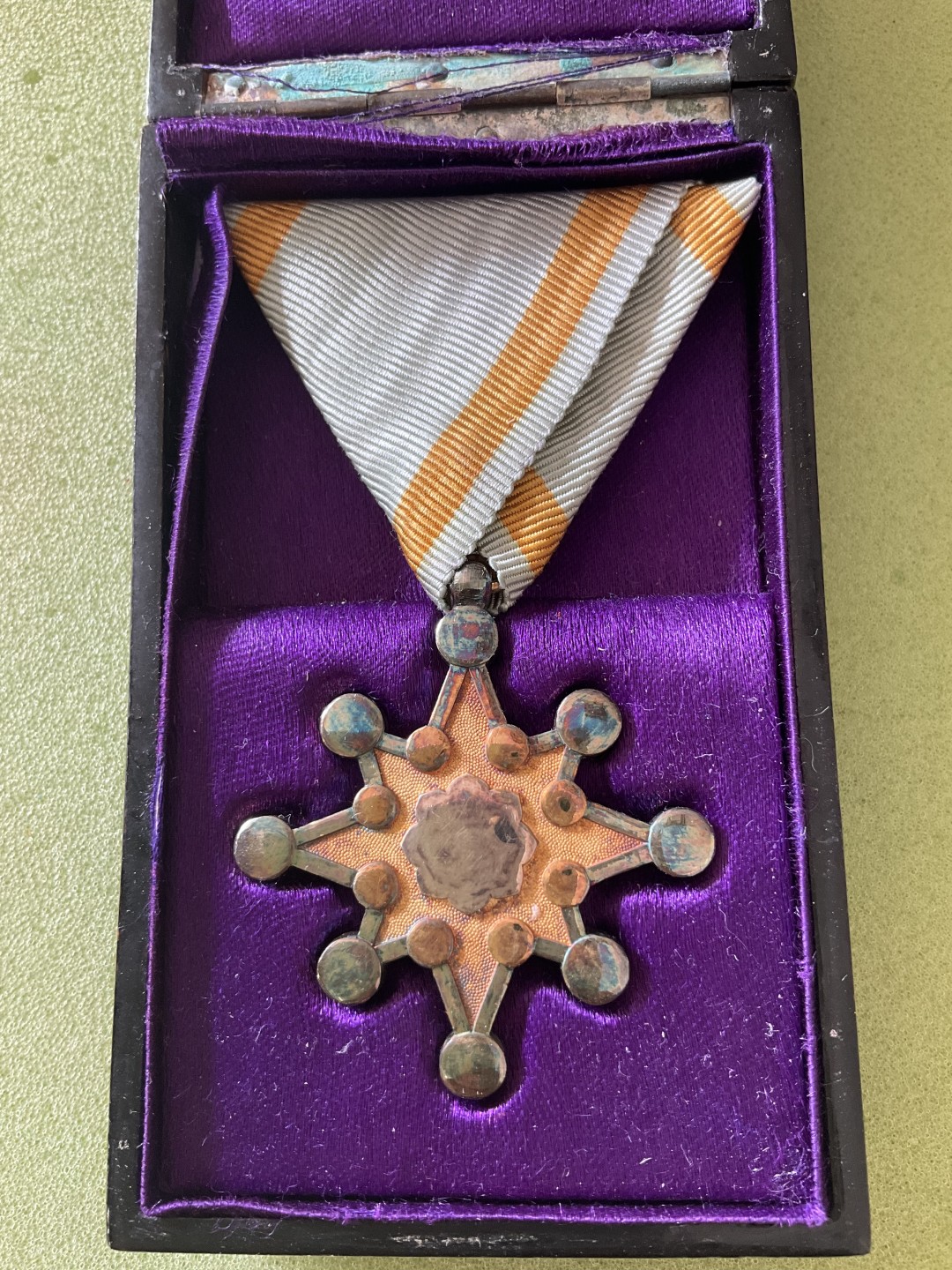 日章奖章 章牌10