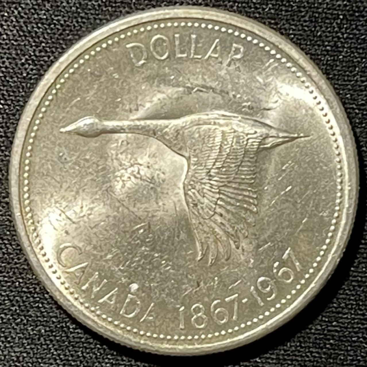 紫瑗钱币——第249期拍卖 加拿大 1967年 伊丽莎白二世 建国百年 大雁 1元 23.5克 0.8银 UNC