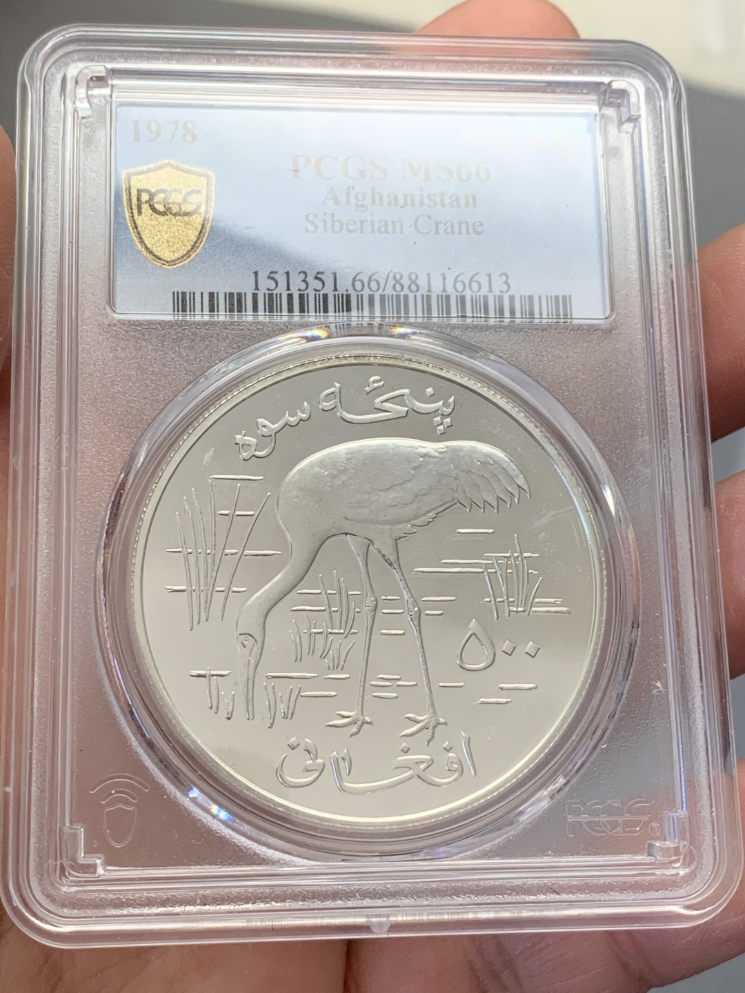 《竞宝斋》第131场-周日，周一连拍 (全场包邮) PCGS MS66 阿富汗1978年珍稀动物西伯利亚鹤纪念500阿富汗尼普制大银币，925银，直径42mm，重量35.3g，发行量仅4374枚