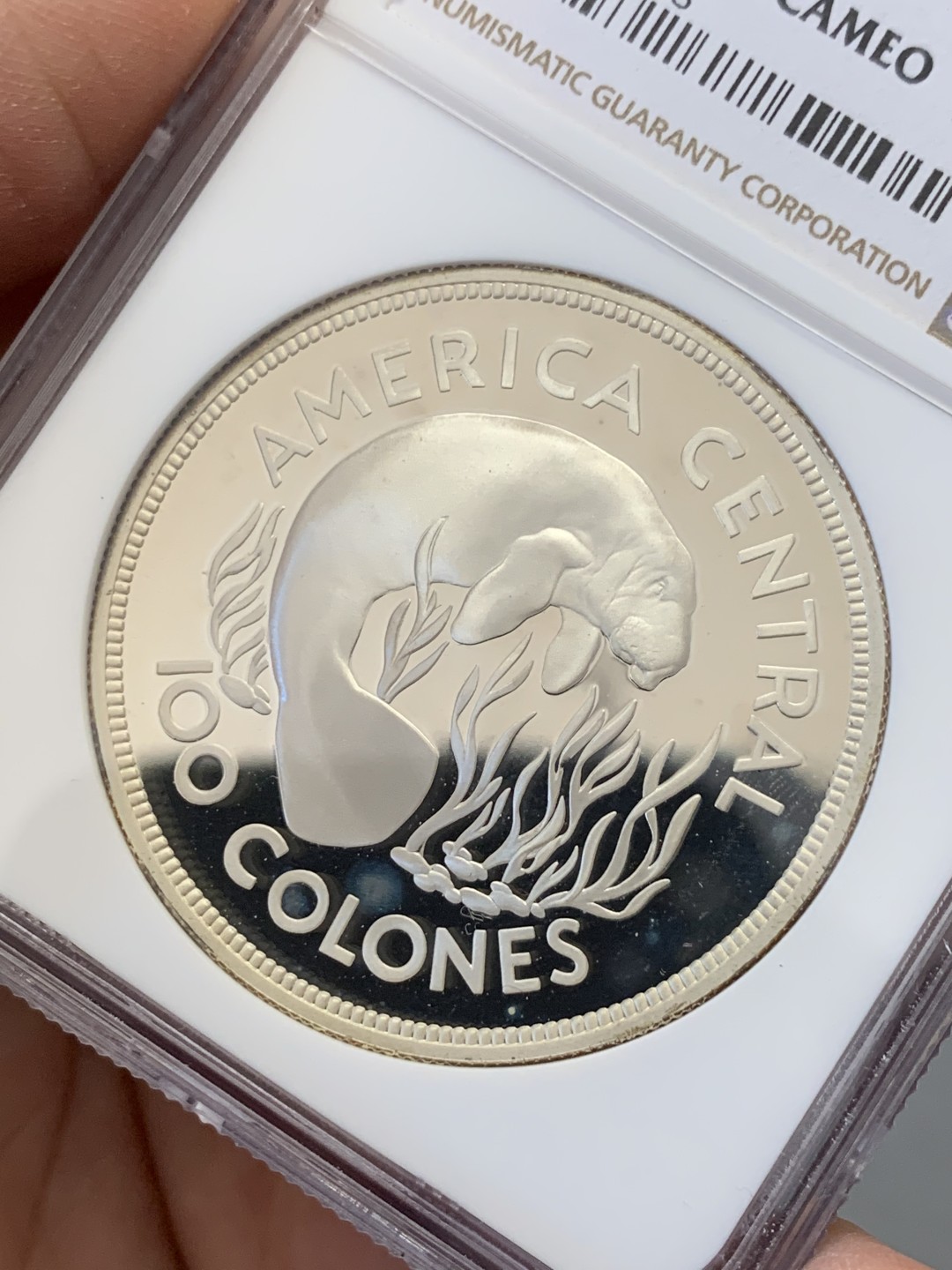 《竞宝斋》第131场-周日，周一连拍 (全场包邮) NGC-PF67 哥斯达黎加1974年 保护自然系列海牛 100科朗精制大银币 