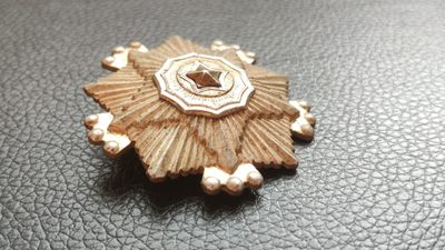 每日随心十拍007 <祼币场> 朝鲜荣誉勋章一枚