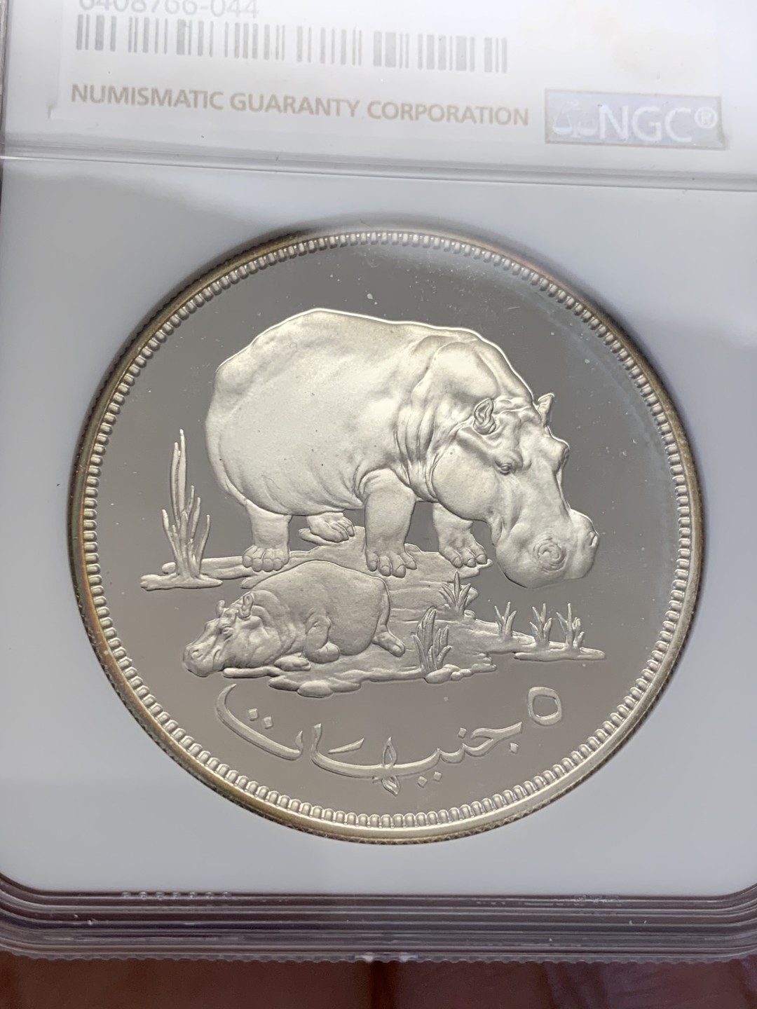 《竞宝斋》第131场-周日，周一连拍 (全场包邮) NGC-PF68 苏丹1976年 保护自然系列河马母子 5镑 精制大银币 少见品种