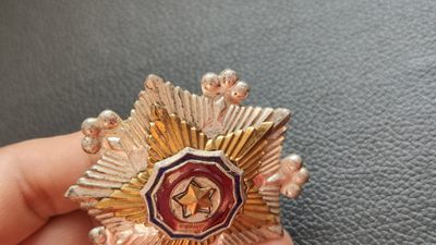 每日随心十拍007 <祼币场> 朝鲜勋章一枚