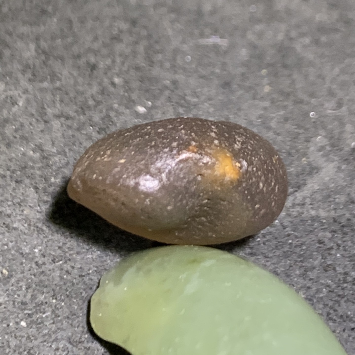 放福利！精美天然戈壁糖心玛瑙原石一颗，