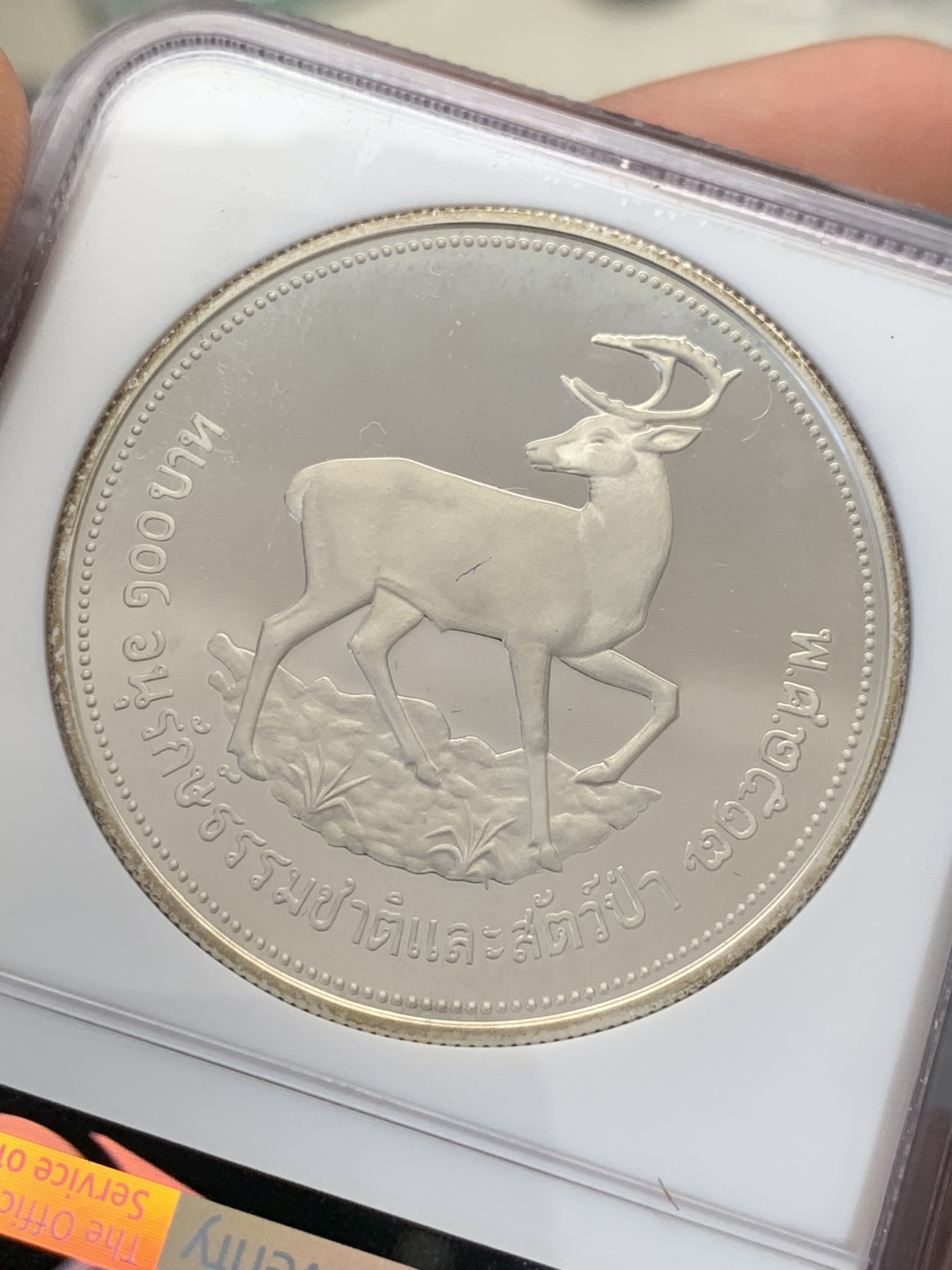 《竞宝斋》第131场-周日，周一连拍 (全场包邮) NGC-PF68 泰国1974年 坡鹿 100泰铢 精制大银币 少见品种