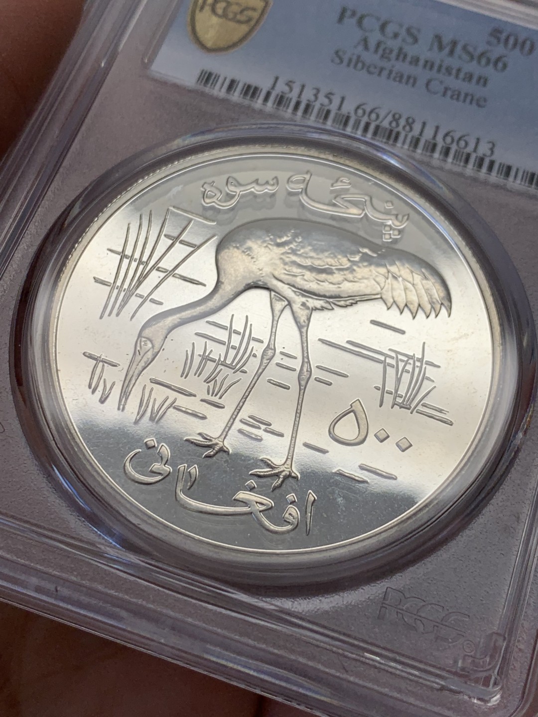 《竞宝斋》第131场-周日，周一连拍 (全场包邮) PCGS MS66 阿富汗1978年珍稀动物西伯利亚鹤纪念500阿富汗尼普制大银币，925银，直径42mm，重量35.3g，发行量仅4374枚