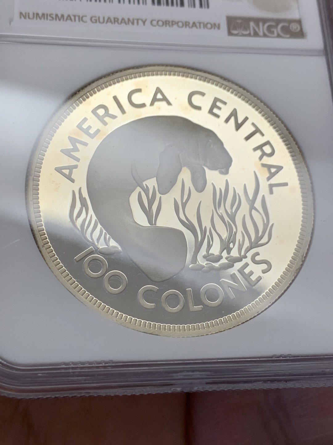 《竞宝斋》第131场-周日，周一连拍 (全场包邮) NGC-PF67 哥斯达黎加1974年 保护自然系列海牛 100科朗精制大银币 