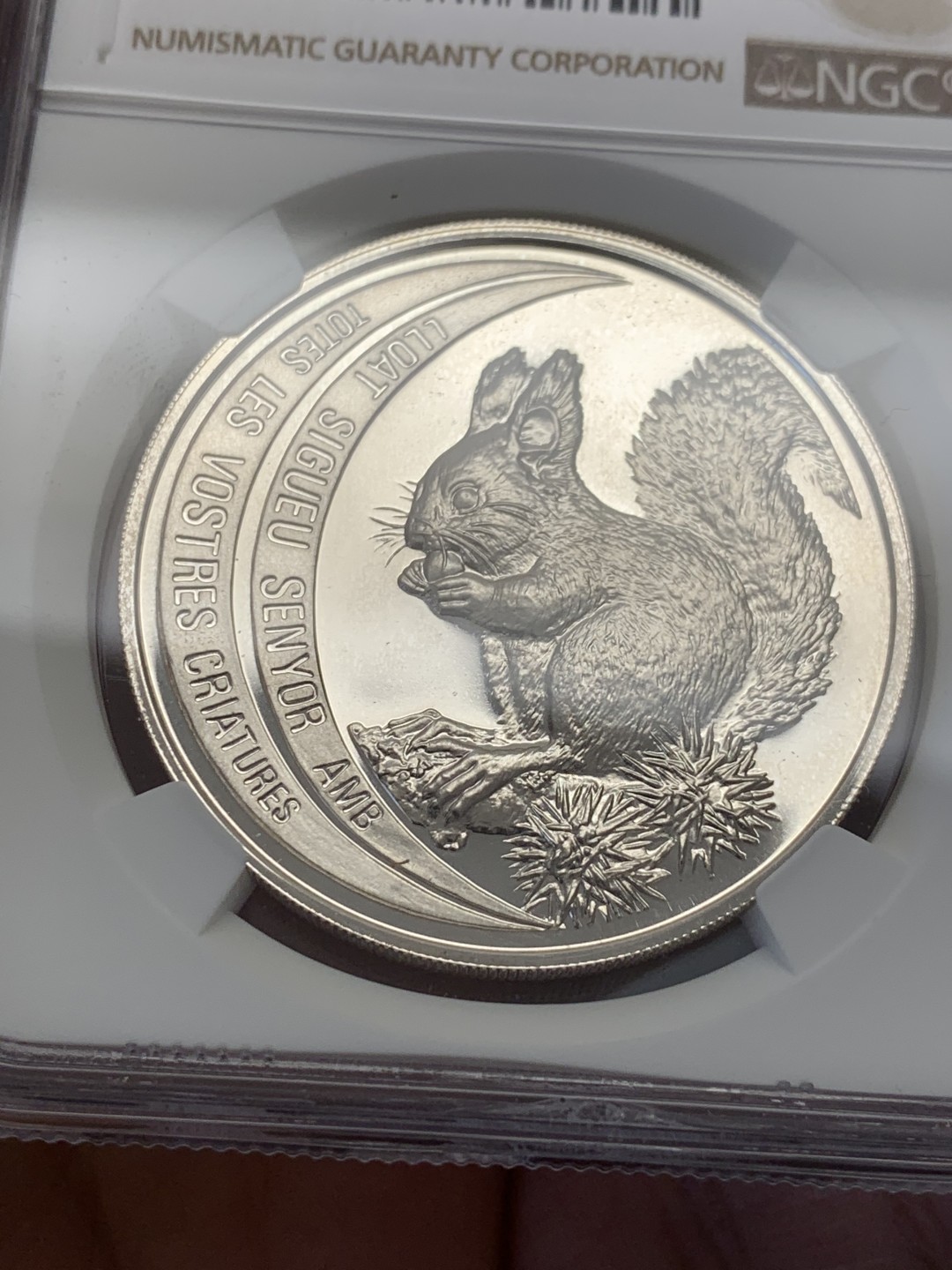《竞宝斋》第131场-周日，周一连拍 (全场包邮) NGC-PF67 安道尔1992年 保护动物系列松鼠 10第纳尔精制大银币 