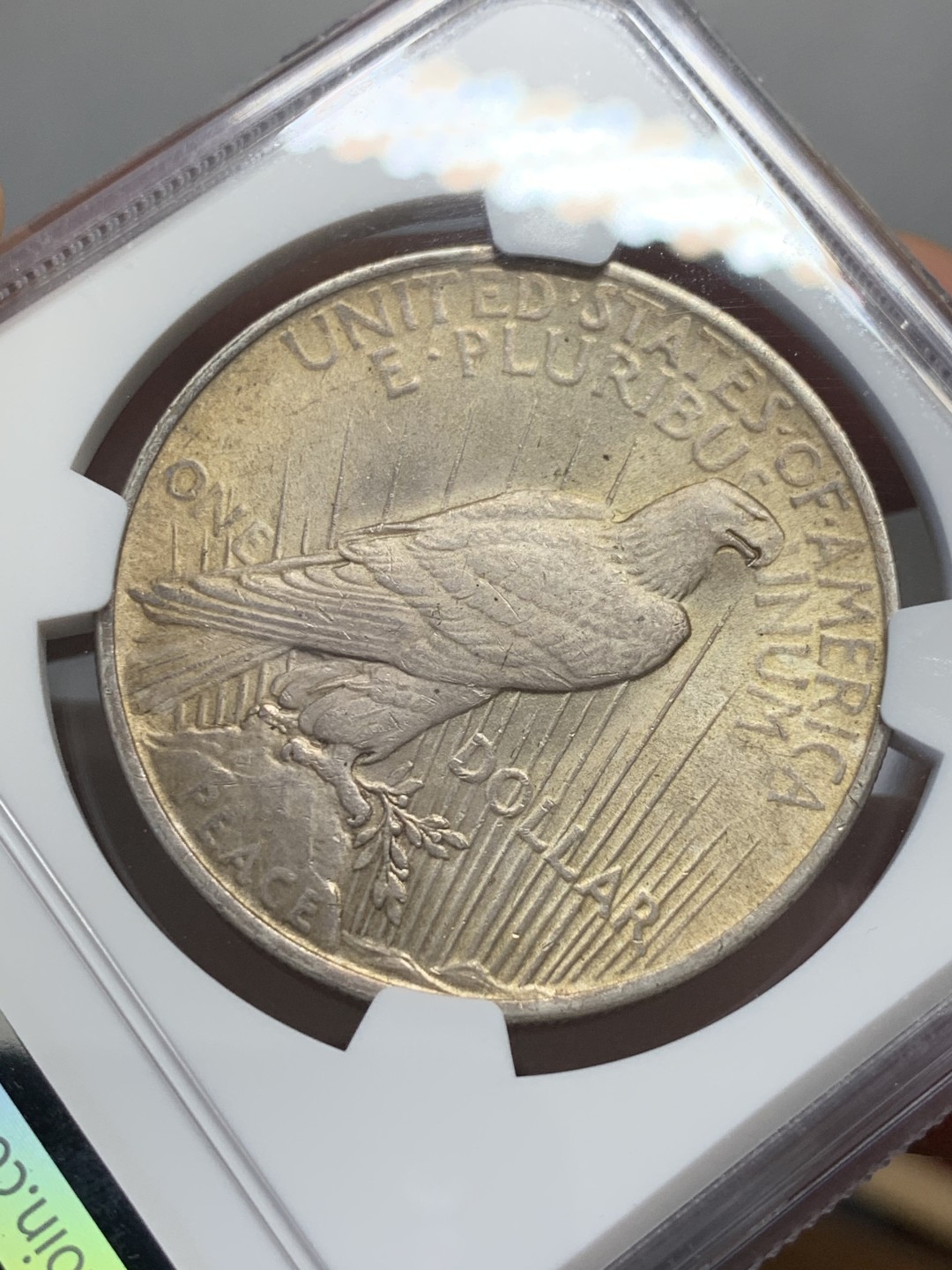 《竞宝斋》第131场-周日，周一连拍 (全场包邮) NGC-MS63 美国1922年 和平鸽一元 原光淡彩很舒服